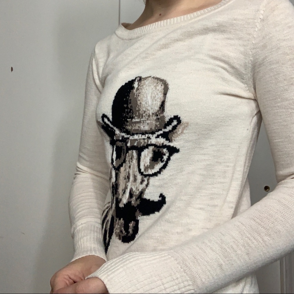 Target Giraffe Sweater